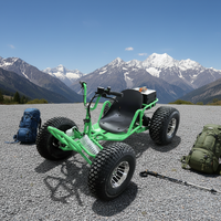 Kart électrique 48V 500W pour la course, le drift et la piste, charge maximale : 300 kg, conçu pour les pistes de jardin et les courses en plein air