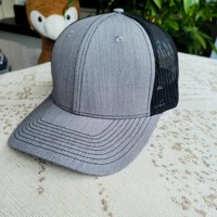 Gorra Trucker de Malla de Perfil Medio con Logotipo Personalizado al por Mayor, Gorra Estructurada de 6 Paneles con Cierre Ajustable, de Algodón Transpirable, para Marcas, Venta al por Mayor