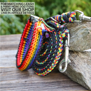 <span class=keywords><strong>Collar</strong></span> de Cuero Auténtico Trenzado Arcoíris Hecho a Mano con Placa de Identificación para Perros, Ideal para Actividades al Aire Libre - Product Image 5