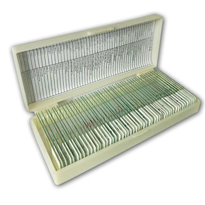 30 preparaciones biológicas para la educación en ciencias de laboratorio, adecuadas para observación microscópica. - Product Image 3