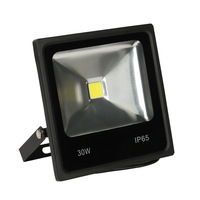 Reflector LED COB Industrial de Súper Brillo, IP68, Exterior, Delgado, Impermeable, 10W/20W/30W/50W/100W/150W/200W, CRI95, 5000K, Luz Diurna