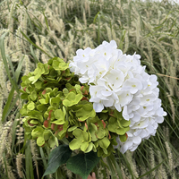 5 Branches de fleurs artificielles d'hortensia blanches de 48 cm de longueur avec feuilles pour la décoration d'événements, de fêtes, de mariages et de locations.