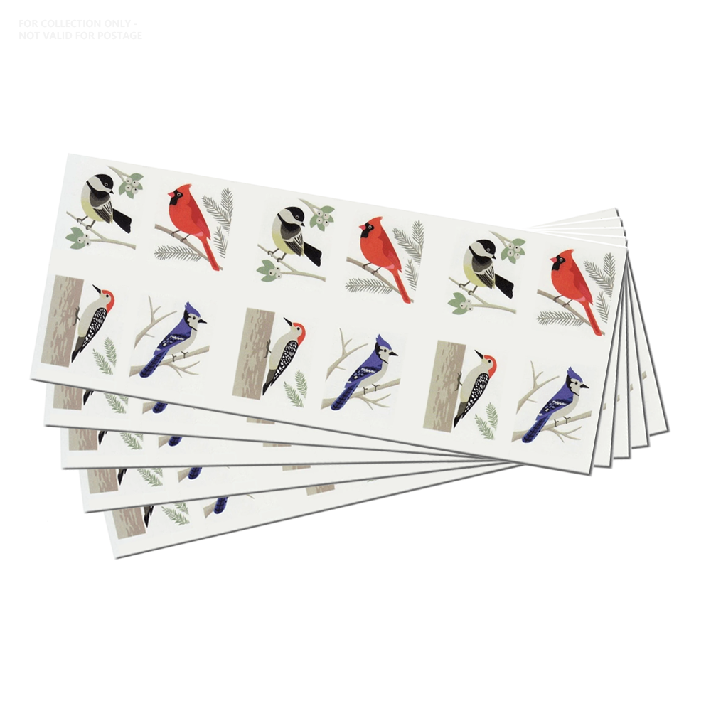 White Y71 2018 Featuring Birds