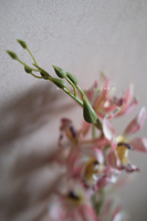 Fleur artificielle d'orchidée Cymbidium, branche rose à pétales marbrés, pour décoration de vase à la maison, bouquet de mariage, arrangement floral
