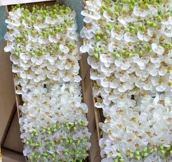 人工ファレノプシス蘭ホワイト蝶蘭造花装飾品リビングルーム装飾花
