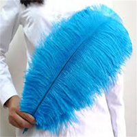 70-75CM Turq Straußen feder für DIY Craft Haar Kostüm Angeln Zubehör Fliegen binden Material Traum fänger Fransen Dekor