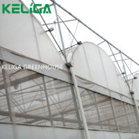 Serre en plastique de 30 x 10 m à vendre, taille personnalisée, serre agricole