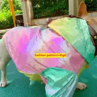 Capa de chuva impermeável para cachorro e gato, roupas luxuosas com design de marca, cão e gato