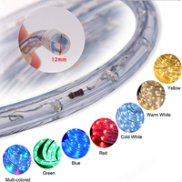 Guirlande lumineuse LED en PVC, rouleau de 100 m, étanche IP67, flexible, RGB blanc, découpable, pour extérieur, jardin, aménagement paysager, bordure de bâtiment, allée