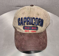 Gorra de Béisbol Personalizada de Alta Calidad Unisex de 6 Paneles de Sarga de Algodón con Logotipo Bordado en 3D y Letras en Relieve
