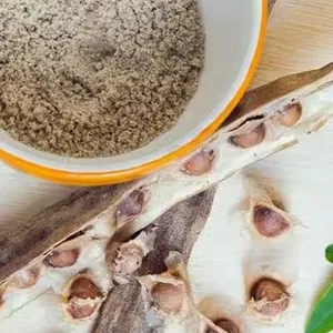 Vendita diretta della fabbrica 100% indiano Moringa torta di semi in polvere selvatico coltivato certificato dal fornitore ricco di proteine