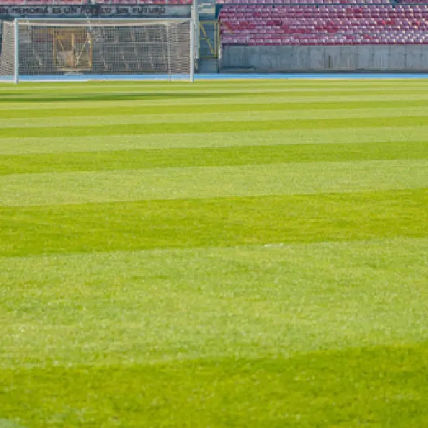 Qualidade melhor que a Mondo, fornecendo grama artificial para futebol, esgrima, iluminação, cola, borracha para 11 quadra lateral