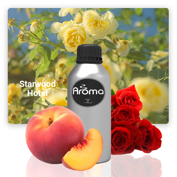 Ароматический диффузор AR1024 для гостиниц, эфирное масло