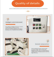 Composants essentiels de la machine d'ensachage automatique double station haute efficacité pour poudres et granulés, 500-700 sacs/heure, en acier inoxydable