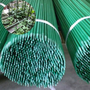 8ft Fiberglass Plant Stakes High Strength UV Resistant <b>Tree</b> Nursery Support with Cutting Service 15-Year Reusable - Product Image 1