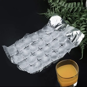 Food Grade Disposable Ice Packs Mold Clear Sealing Ice Grid Bag Passion Fruit Block Artifacts Home Use <b>Plastic</b> <b>Packaging</b> - Product Image 5