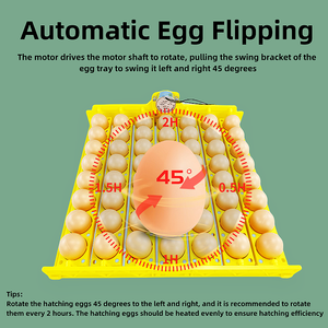 56 tấm trứng thiết bị nông nghiệp nở gà lồng ấp Gia cầm Gà Vịt ngỗng Mini lồng ấp trứng - Product Image 5