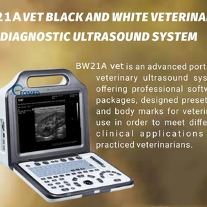 Échographe numérique noir et blanc portable pour vétérinaires, système de diagnostic ultrasonore à prix imbattable BW21Avet - Product Image 2