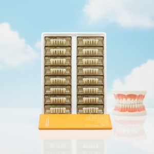 Dientes de Resina Acrílica Compuesta <span class=keywords><strong>Dental</strong></span> de Fábrica, Dientes Anteriores Inferiores 6*1/16, Dientes de Resina de Polímero Sintético para Prótesis Removibles - Product Image 2