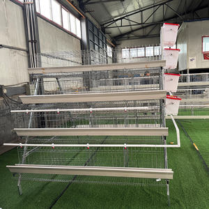 3-laags legbatterijkooien voor pluimveebedrijven, gegalvaniseerd, type A, voor 10.000 kippen - Product Image 3