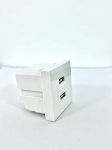 原厂双USB端口壁式电源插座 45*45mm - 5V 2.1A 智能充电插座 - Product Image 2