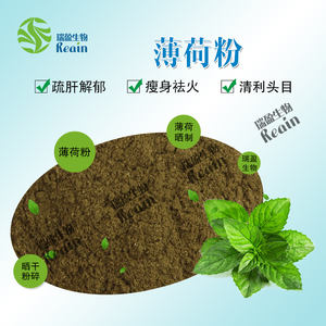 ペパーミントエキス有機ペパーミントリーフパウダー100% ピュアミントエキス - Product Image 2