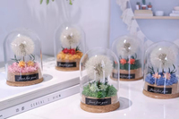 Pissenlit véritable préservé sous cloche en verre avec éclairage LED, fleur éternelle et moelleuse, base en liège naturel, cadeau pour la Saint-Valentin et la remise des diplômes