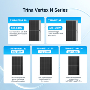 Panel Solar Trina Tipo N de Doble Vidrio 700w 650w 630w 610w, Paneles Solares Bifaciales - Product Image 3
