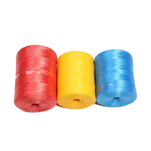 3mm Chất lượng cao mềm bền tùy chỉnh chiều dài màu PP Xoắn <span class=keywords><strong>Baler</strong></span> <span class=keywords><strong>twine</strong></span> cho nông nghiệp - Product Image 6