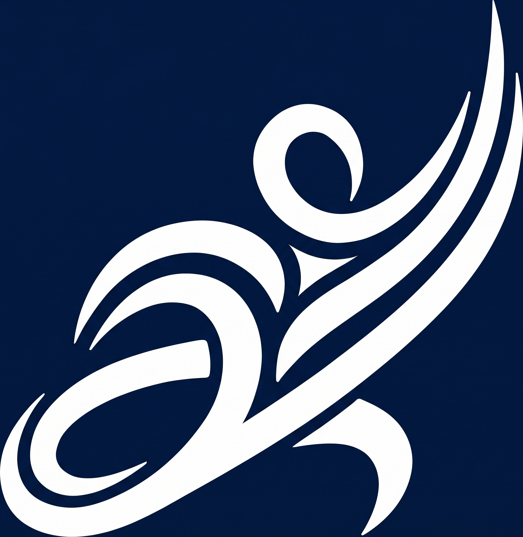 Shenzhen Soma Sports Technology Co., Ltd. logo