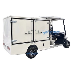 Voiture d'ambulance électrique puissante à 2 places pour le transport de patients, véhicule utilitaire type golf cart, idéale pour les hôpitaux - Prix compétitif - Product Image 1