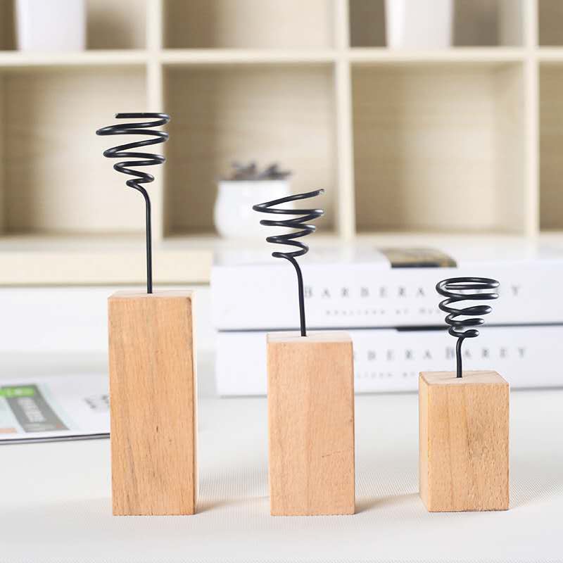 BOREEN - Plantas de Aire Tillandsia CAM con Soporte de
