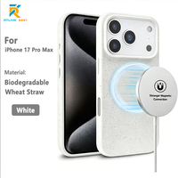 Étui de téléphone en paille de blé biodégradable TPU pour iPhone 11-18 Pro Max, charge magnétique sans fil, antichoc, OEM ODM, gravure laser
