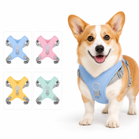 Harnais pour chien avec laisse, forme en X, col en V, sans pression, maille respirante, léger, couleurs macaron réfléchissantes, pour chiens, direct usine