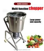 Commerciële Knoflookblender Fruit Groente Crusher Vleesmolen Chili Gember