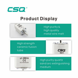 CSQ Nt2 Lv 315A ตัดออก <span class=keywords><strong>Nh</strong></span> Hrc เซรามิก Rt16-00 30A <span class=keywords><strong>Nh2</strong></span> 20A ทองแดง T3ลิงค์ฟิวส์63A 80A 15A - Product Image 4