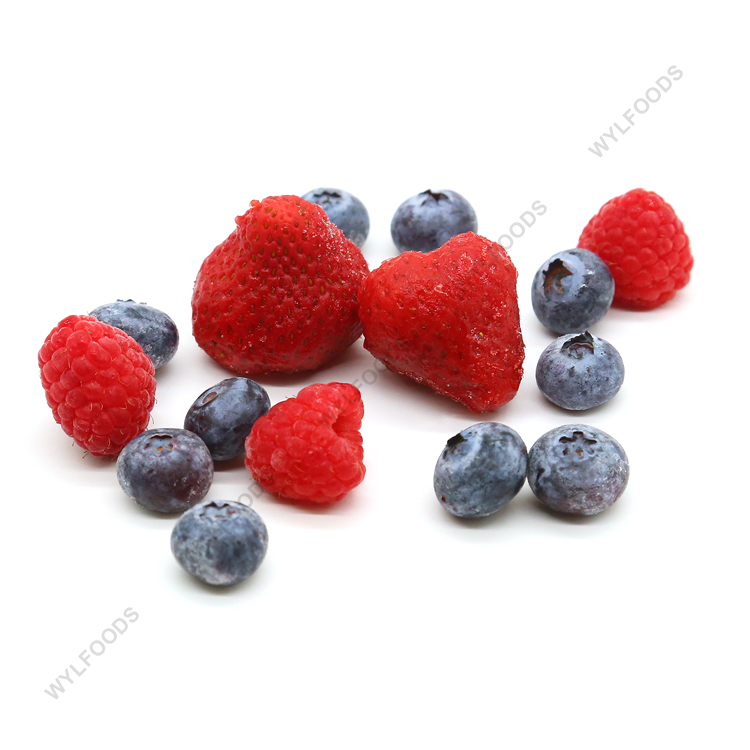 China Lieferant gefrorene gemischte Beeren günstigen Preis gefrorene Beeren Früchte Erdbeere Blaubeere Himbeere Brombeere