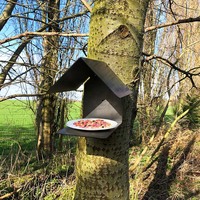 Mangeoire à oiseaux JH-Mech, minimaliste, amovible, à fixer au mur et à l'arbre, de qualité supérieure, en acier carbone noir, pour l'extérieur