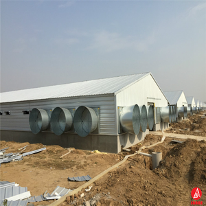 Đúc Sẵn Kết Cấu Thép Gia Cầm Xây Dựng Trang Trại Đổ Gà Gà Thịt Nhà Thiết Kế - Product Image 2