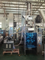 Machine d'emballage automatique YH pour granulés de 500g à 1000g, idéale pour les cacahuètes, les noix, les biscuits, le maïs soufflé et les chips de pommes de terre