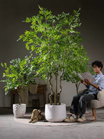 Künstlicher Ficus Lyrata Zimmerbaum im Topf für Festliche Anlässe wie Erntedank, Weihnachten, Ostern, Neujahr und Halloween