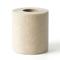 Papier toilette en bambou écologique 3 plis, biodégradable, doux, respectueux de la peau, durable, pour usage domestique