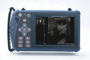 Échographie vétérinaire - Product Image 5