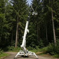 18 Metre Her Türlü Araziye Uygun Örümcek Tipi Eklemli Paletli Bomlu Platform Yeni Çelik Havadan Çalışma Platformu Elektrikli Hidrolik Teleskopik Platform 500kg