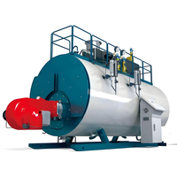Generator Uap Tabung Berbahan Bakar Gas Alam LHS 100kg, Boiler Diesel Mini Baru dari Baja Tahan Karat, Perakitan Cepat untuk Makanan
