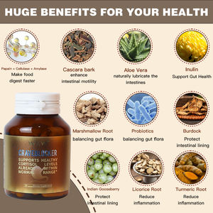 ยาดีท็อกซ์ลำไส้ใหญ่15วันช่วยให้ระบบย่อยอาหารทำงานสบายขึ้นช่วยบำรุงลำไส้สำหรับผู้ใหญ่ - Product Image 3