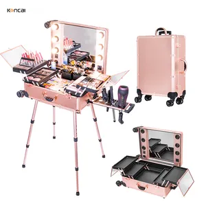 FAMA factory Private Label Makeup Artist Case Trolley Beauty Box Train Case With Lights