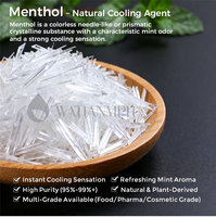 Cristaux de Menthol 99 % de Haute Qualité, Extrait de Plante Naturel, Menthe Premium pour Parfum, Arôme, Alimentaire, Cosmétique, Soin de la Peau, Durée de Conservation de 2 Ans