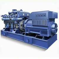 Precio de Generador de Gas, Arranque Rápido, Buena Economía, Eficiente y Duradero 150KW, 250KW, 300KW