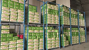 Ajo Blanco Fresco de Alta Calidad para Exportación, Empacado en Caja, Precios de Ajo Fresco Chino, Vegetales, Ali Alho - Product Image 5